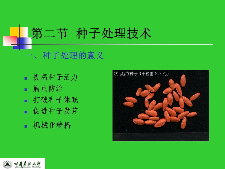 四章设施育苗技术.ppt_第3页