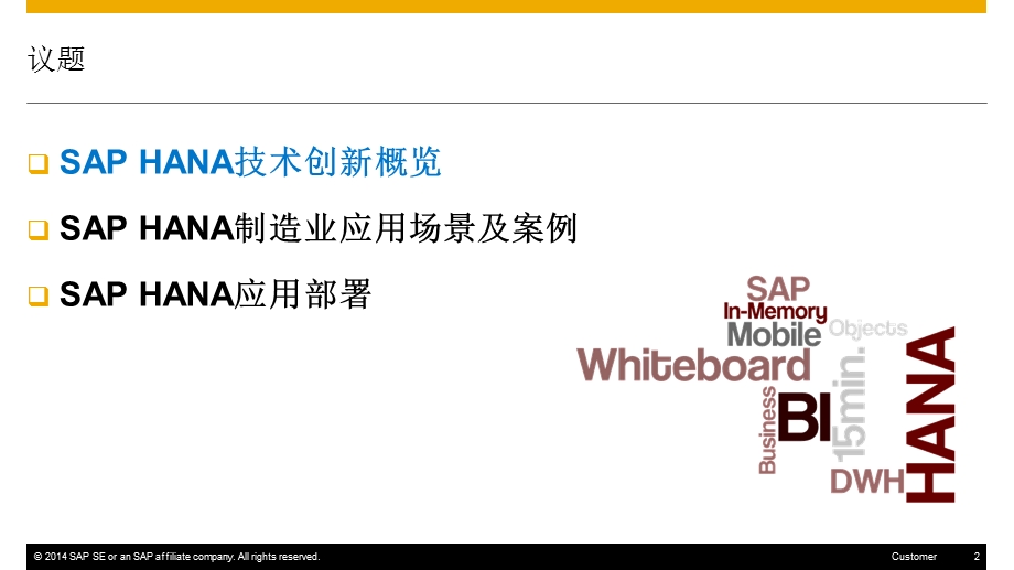 SAPHANA内部资料.ppt_第2页