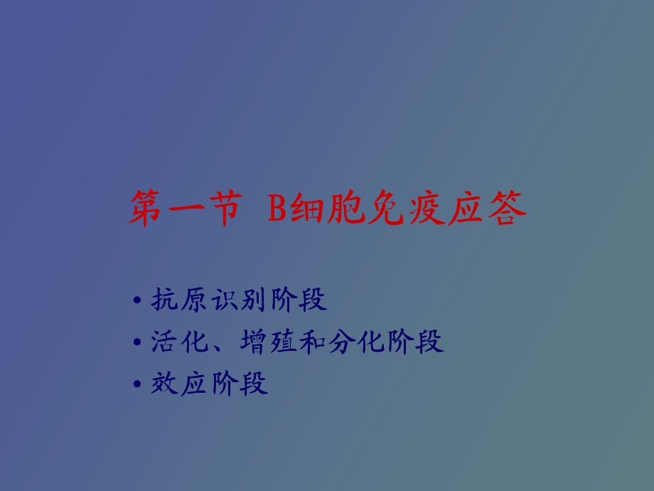 B淋巴细胞的活化与抗体产生.ppt_第3页