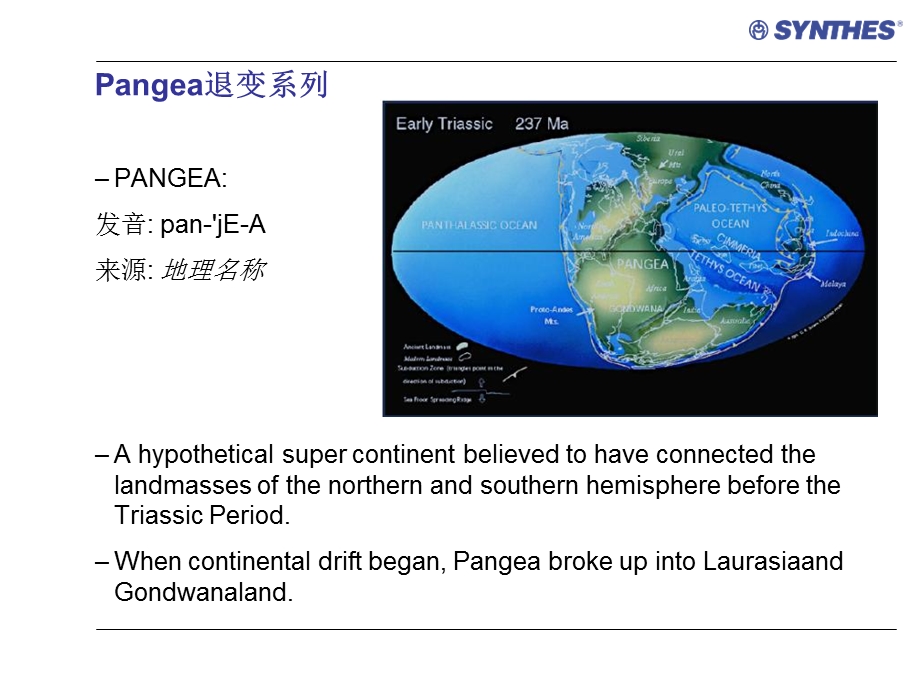 angea上开口多轴向椎弓根螺钉产品介绍.ppt_第2页