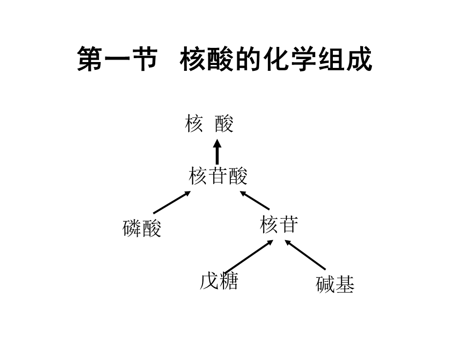 王镜岩生化课件06 核酸.ppt_第2页