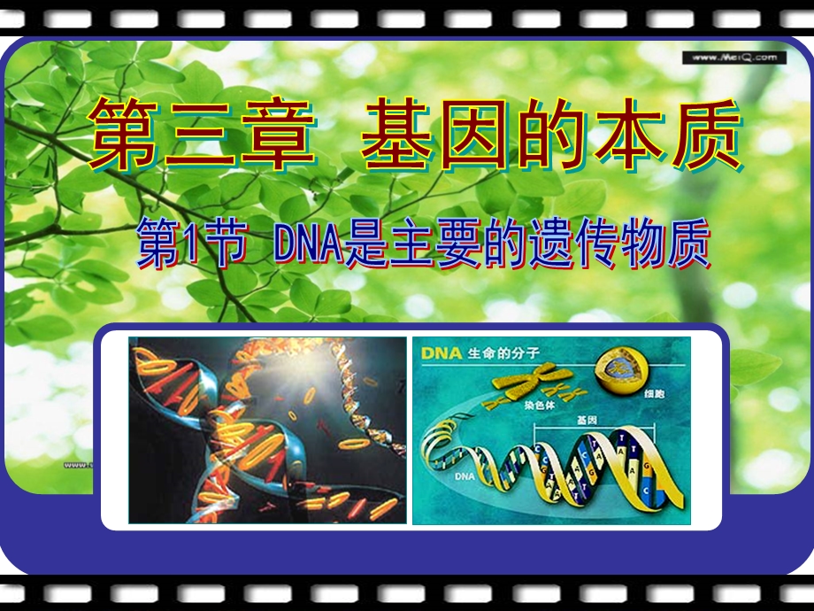 DNA是主要的遗传物质PPT(上课用).ppt_第1页