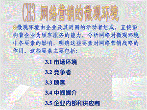 CH3网络营销的微观环境.ppt