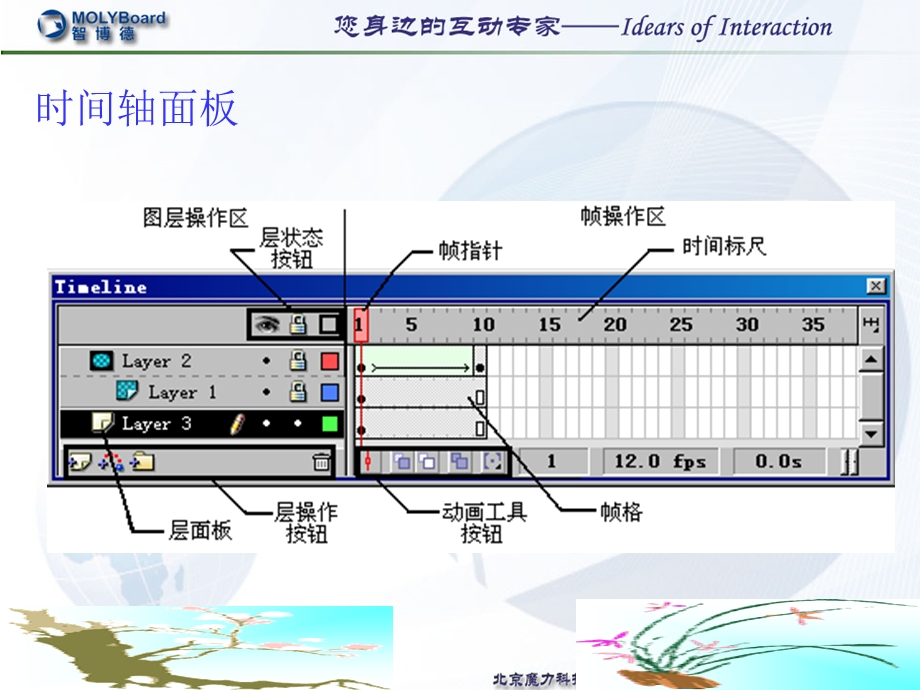 flash初级教程.ppt_第3页