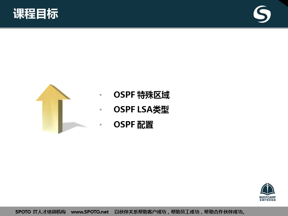 OSPF特殊区域及LSA类型.ppt_第2页