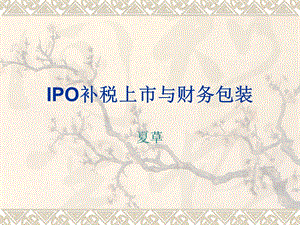 IPO补税上市与财务包装.ppt