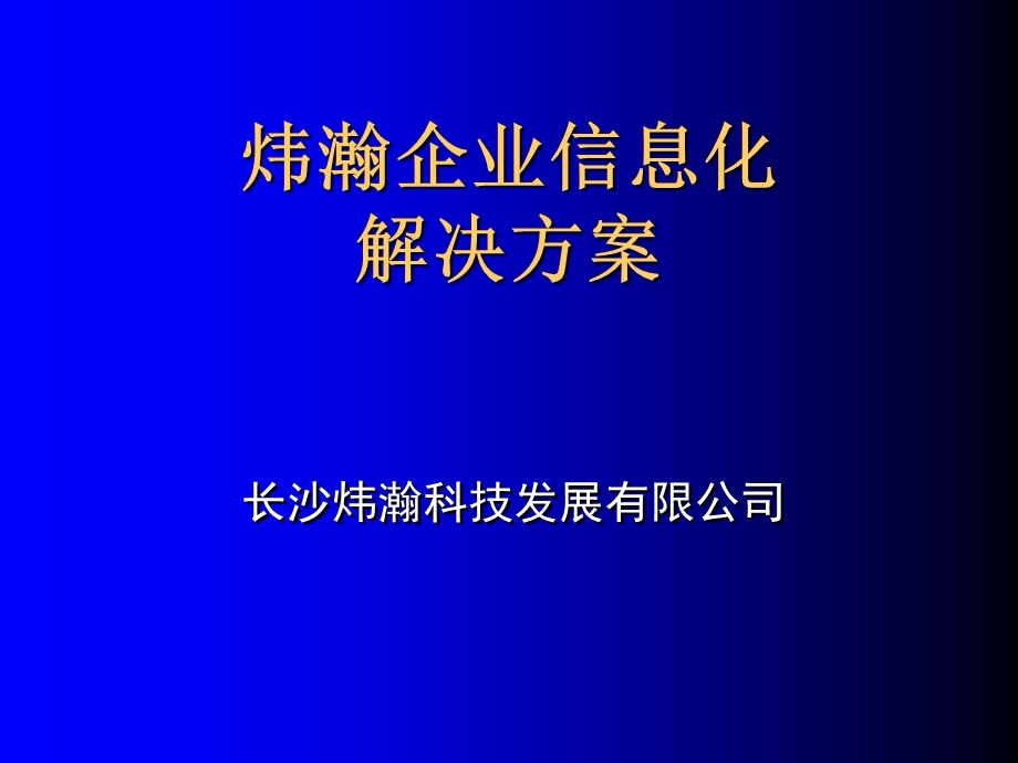 炜瀚企业信息化解决方案.ppt_第2页