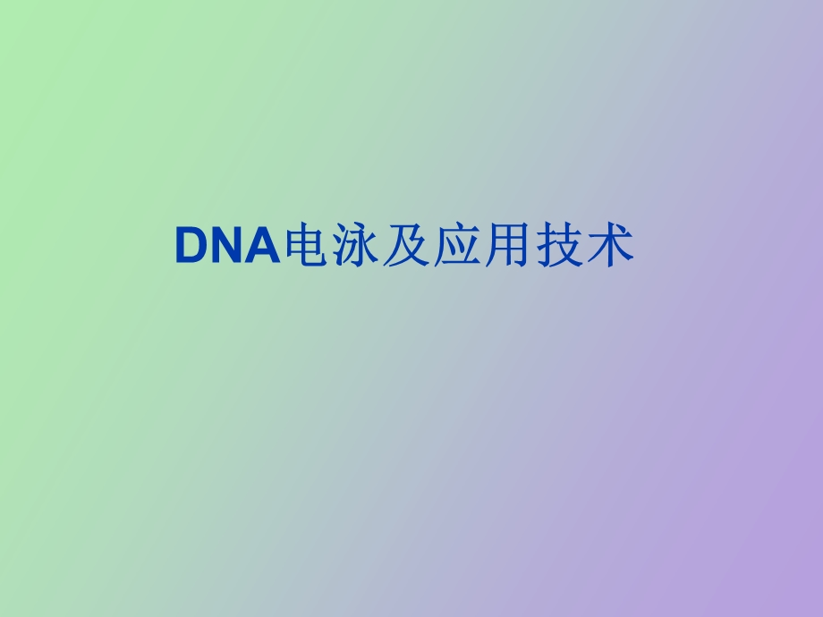 DNA电泳及应用技术精美生物医学.ppt_第1页