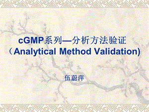 GMP分析方法验证.ppt