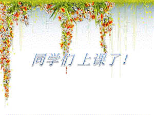 水中芙蓉荷花.ppt