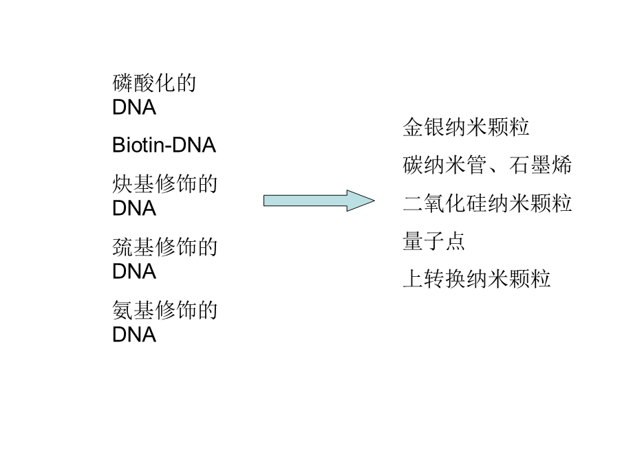 DNA固定在纳米颗粒表面的方法.ppt_第1页