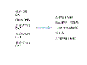 DNA固定在纳米颗粒表面的方法.ppt