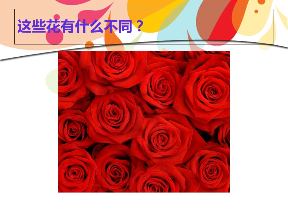 colors颜色教学课件.ppt_第2页