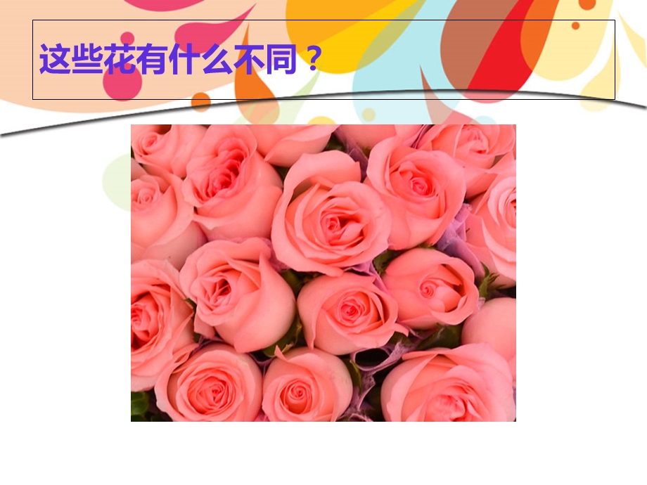 colors颜色教学课件.ppt_第3页