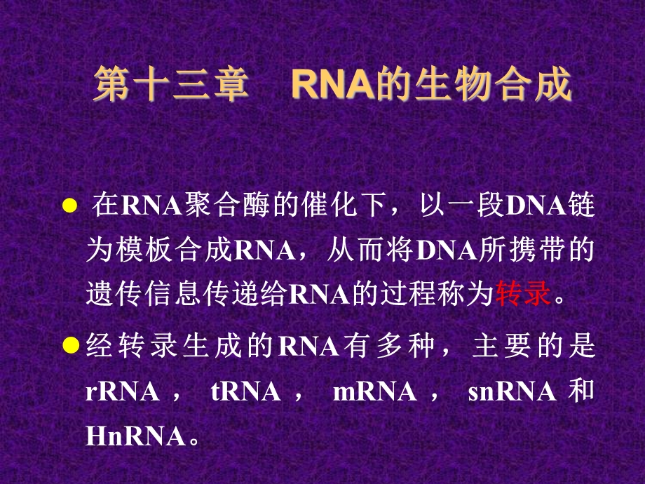 RNA的生物合成教学.ppt_第1页