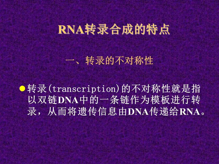 RNA的生物合成教学.ppt_第2页