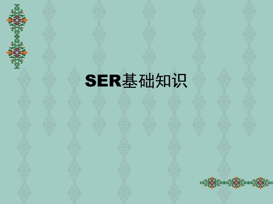 SER基础知识培训教材.ppt_第1页