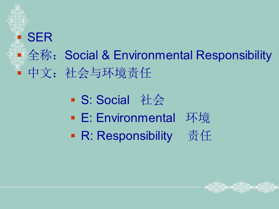 SER基础知识培训教材.ppt_第2页