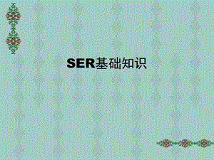 SER基础知识培训教材.ppt