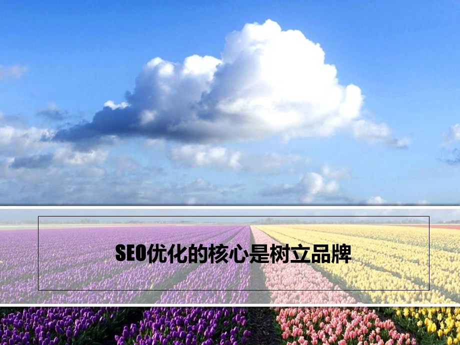 SEO优化的核心是树立品牌.ppt_第1页