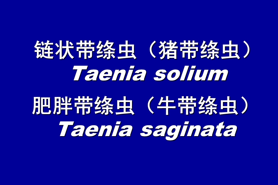 链状带绦虫猪带绦虫Taeniasolium.ppt_第1页