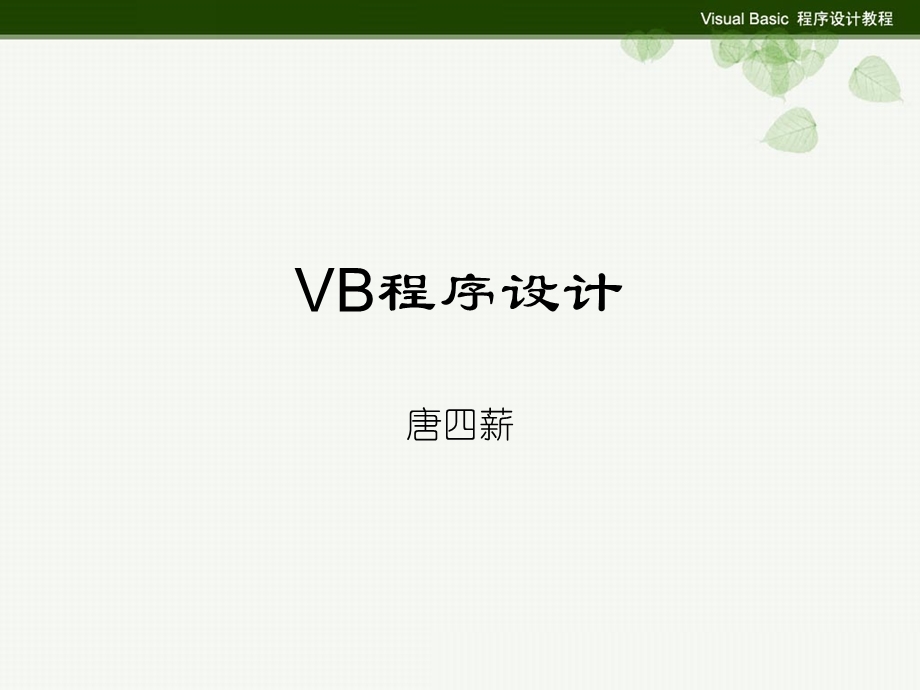 VB程序设计-过程和函数.ppt_第1页