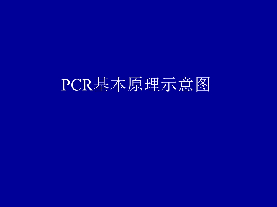 PCR基本原理示.ppt_第1页