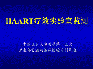 五、HAART治疗疗效实验室监测.ppt