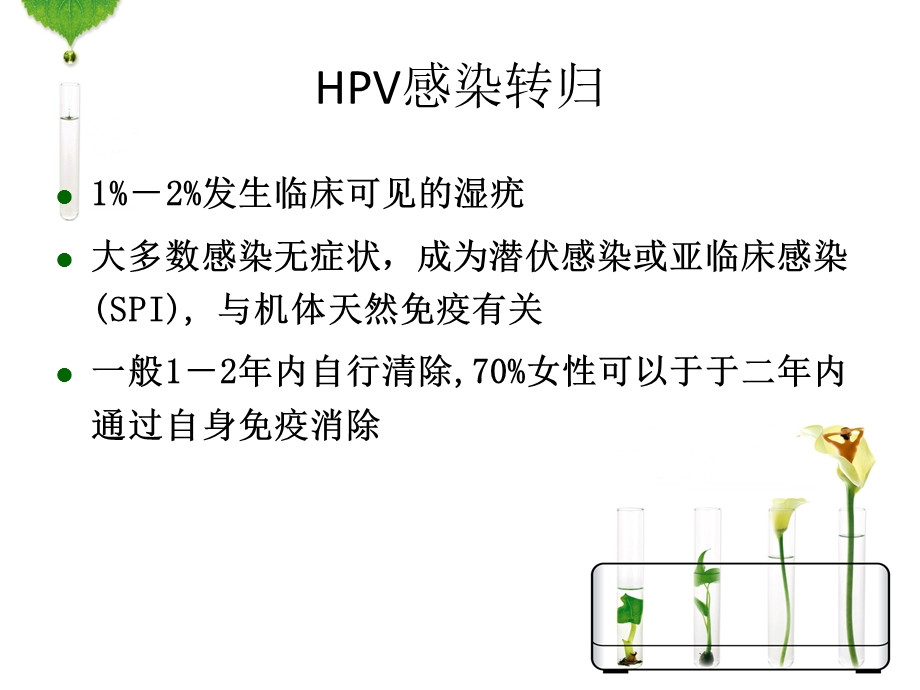 HPV感染与宫颈癌的宣传资料.ppt_第2页