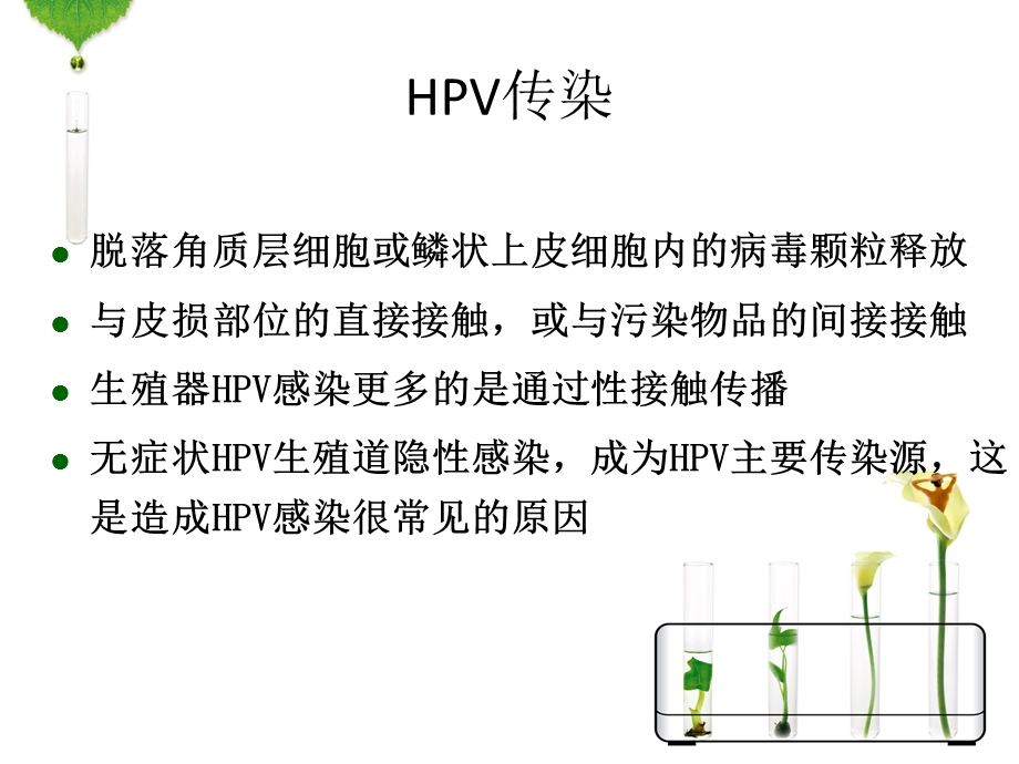 HPV感染与宫颈癌的宣传资料.ppt_第3页