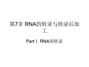 artⅠRNA的转录.ppt