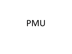 PMU相量测量装置简介.ppt