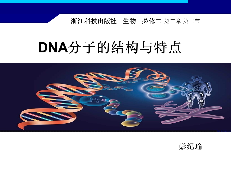 DNA的结构特点.ppt_第1页