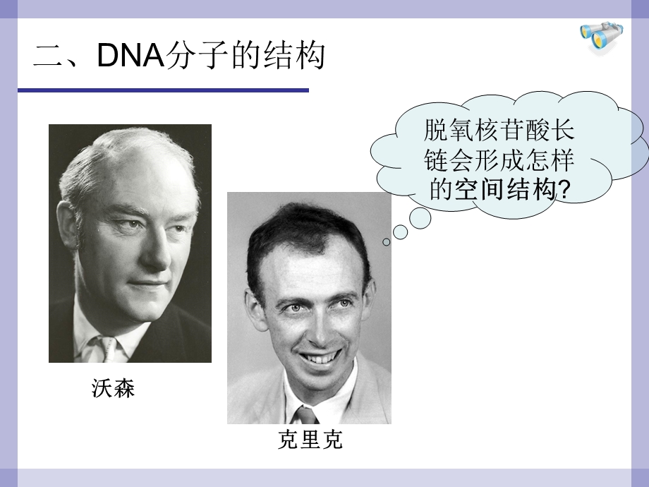 DNA的结构特点.ppt_第2页