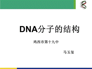 DNA分子的结构说课.ppt