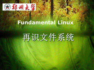 linux磁盘与文件系统管理.ppt