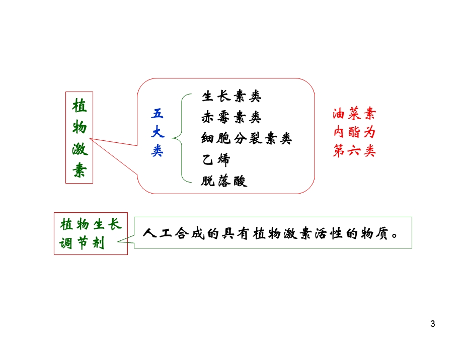 5生长物质.ppt_第3页