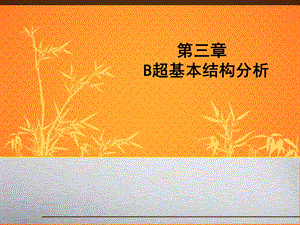 B超基本结构分析.ppt