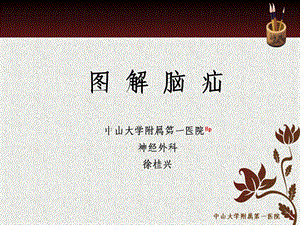 图解脑疝xgx.ppt