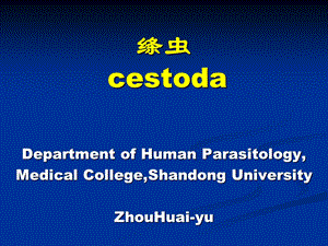 绦虫cestoda.PPT