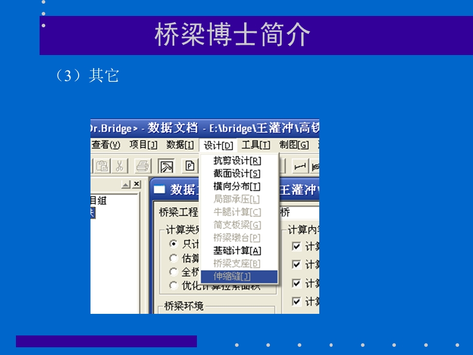 桥梁博士操作二章直线桥设计计算输入.ppt_第3页