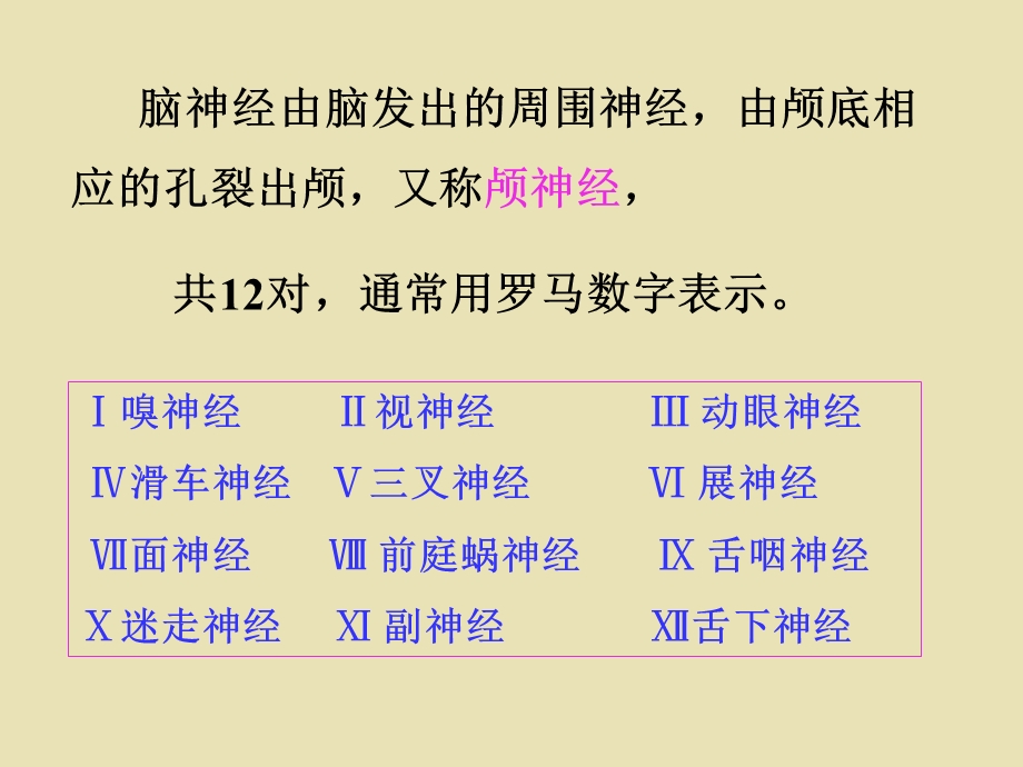 系统解剖概要脑神经.ppt_第2页