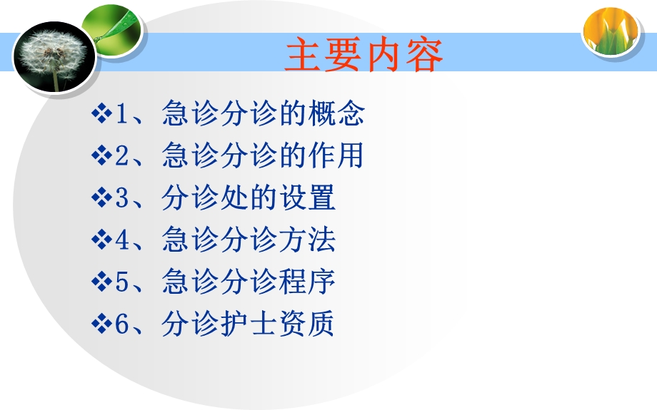 2014急诊分诊与护理评估.ppt_第2页