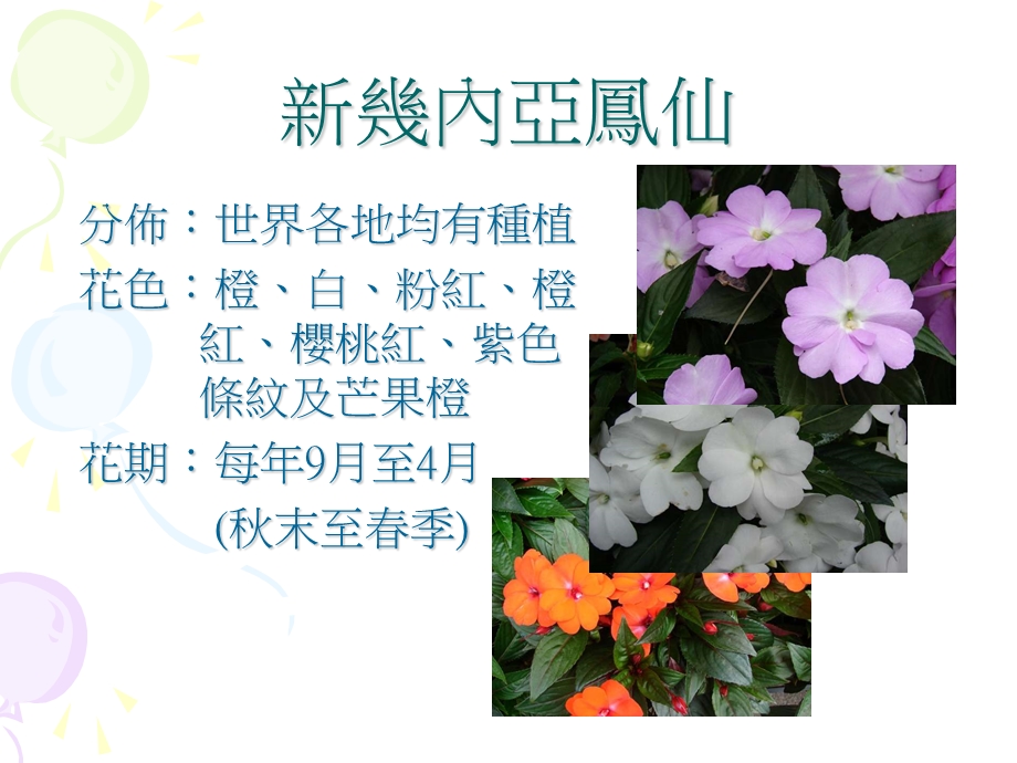 康乐及文化事务署一人一花计划14.ppt_第3页