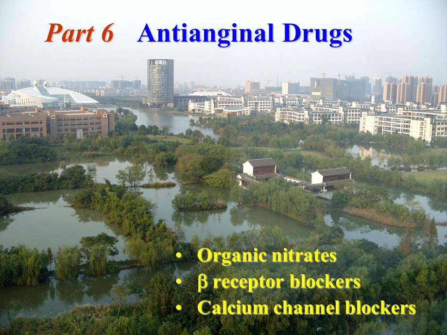 Antianginal-Drugs(抗心绞痛药).ppt_第1页