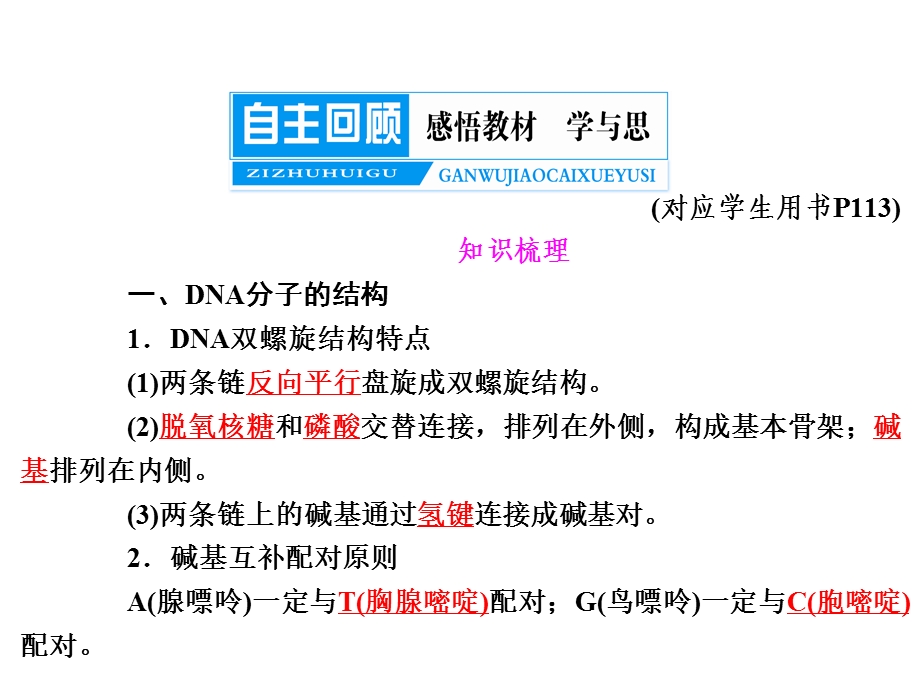 DNA分子的结构与复制、基因是的本质.ppt_第2页