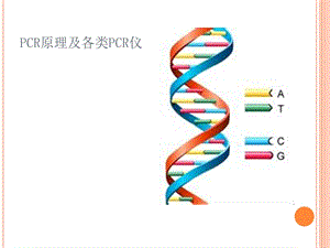 PCR原理及各类PCR仪.ppt