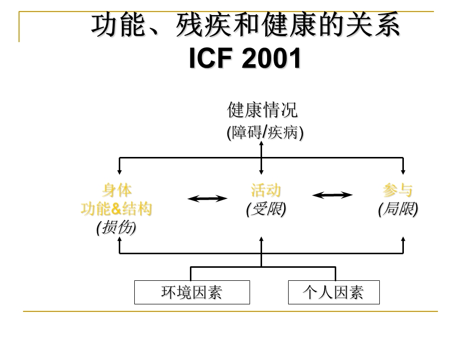 ICF的主要目的与.ppt_第3页