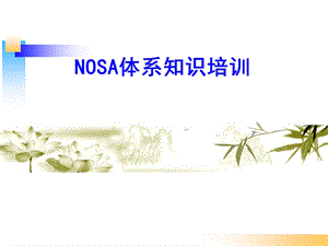 NOSA体系知识培训.ppt