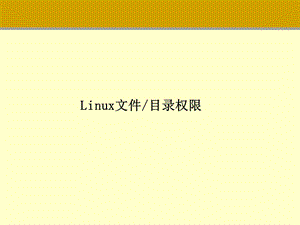 linux文件权限.ppt